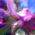 :iconfatist: