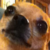 :iconfaultyfingers: