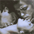 :iconfaushowa: