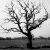 :iconfaust-xviii: