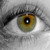 :iconfautes-oh: