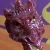:iconfavdragon: