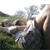 favolavisco :iconfavolavisco:
