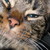 :iconfavoriteginger: