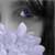 :iconfawaqi: