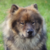 :iconfawn-98:
