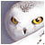 :iconfawnbaby: