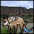 :iconfaxes-club: