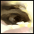 faxtar :iconfaxtar: