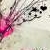 :iconfay-laa: