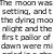 :iconfayesie-daisie: