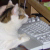 :iconfayrith:
