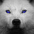 :iconfaysen: