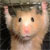 :iconFaytte: