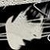 :iconfdandroid: