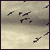 :iconfeaness: