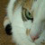 :iconfear-n-loathing: