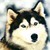 :iconfear275: