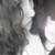 :iconfearlessfantasy-foto: