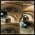 :iconfearoffours: