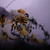 :iconfeather005: