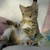 :iconfeatherlock4298: