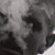 :iconfeatherly: