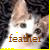 :iconfeathershadow13: