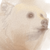 :iconfeatherstring: