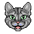 :iconfeathertail-forever: