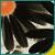 :iconfebruarflower1991: