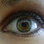 :iconfebruarybliss:
