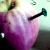 :iconfee-divers: