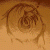 :iconfeedridge: