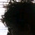 :iconfeedurhead4: