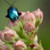 :iconfeel-the-steel: