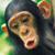:iconfeelfree-hr: