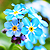 :iconFeelinThis: