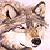 :iconfeelthevibe: