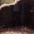 :iconfeepet: