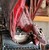 :iconfees-maerchenwelt: