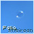 Felia-Sheireen :iconfelia-sheireen: