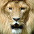 :iconfeliciaberg: