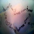 :iconfeliciaxxrawr: