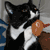 :iconfelidae-envy: