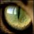 :iconfelidae-graphicnovle: