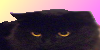:iconfeline-fans: