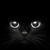 :iconfeline-passion: