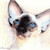:iconfelineartstudio: