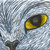 :iconfelinehearts: